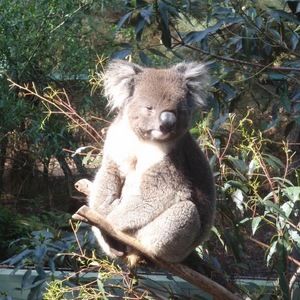 Meet your Posher, Cathy